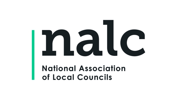 NALC Committee Elections - How to Vote!